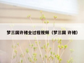 梦三国许褚全过程视频（梦三国 许褚）
