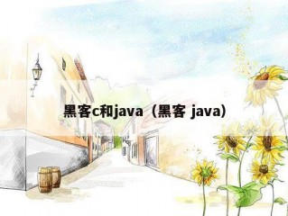 黑客c和java（黑客 java）