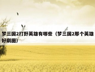 梦三国2打野英雄有哪些（梦三国2那个英雄好刷图）