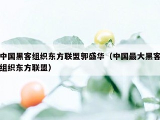 中国黑客组织东方联盟郭盛华（中国最大黑客组织东方联盟）