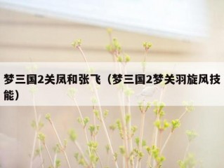梦三国2关凤和张飞（梦三国2梦关羽旋风技能）