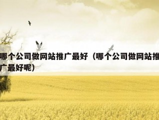 哪个公司做网站推广最好（哪个公司做网站推广最好呢）