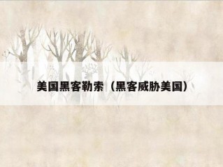 美国黑客勒索（黑客威胁美国）