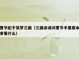 曹节配于禁梦三国（三国杀请问曹节手里原本拿着什么）