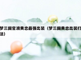 梦三国官渡黄忠最强出装（梦三国黄忠出装打法）