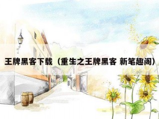 王牌黑客下载（重生之王牌黑客 新笔趣阁）