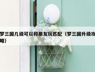 梦三国几级可以和朋友玩匹配（梦三国升级攻略）