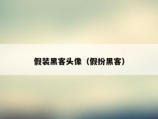 假装黑客头像（假扮黑客）