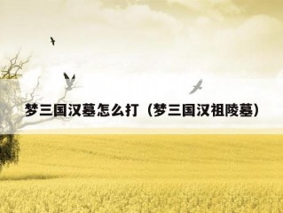 梦三国汉墓怎么打（梦三国汉祖陵墓）
