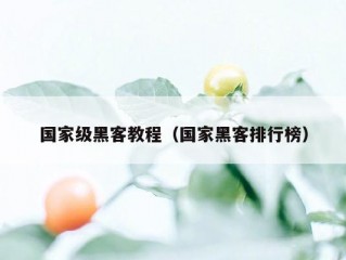 国家级黑客教程（国家黑客排行榜）