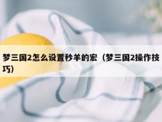 梦三国2怎么设置秒羊的宏（梦三国2操作技巧）