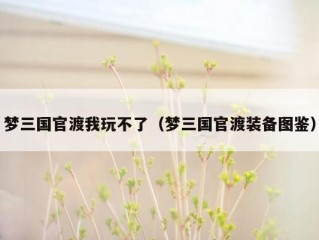 梦三国官渡我玩不了（梦三国官渡装备图鉴）