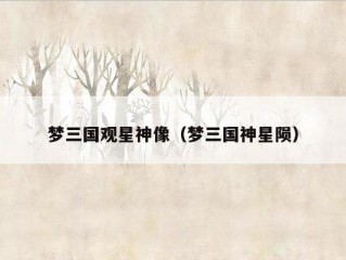 梦三国观星神像（梦三国神星陨）