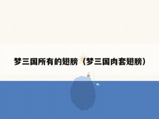 梦三国所有的翅膀（梦三国肉套翅膀）