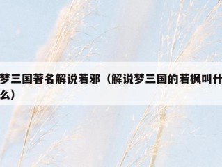 梦三国著名解说若邪（解说梦三国的若枫叫什么）