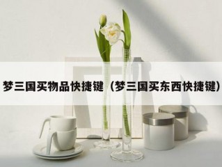 梦三国买物品快捷键（梦三国买东西快捷键）