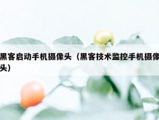 黑客启动手机摄像头（黑客技术监控手机摄像头）