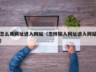 怎么用网址进入网站（怎样输入网址进入网站）