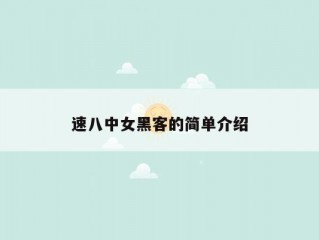 速八中女黑客的简单介绍