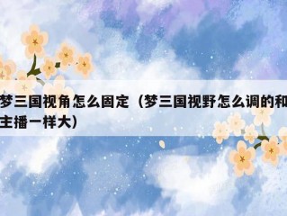 梦三国视角怎么固定（梦三国视野怎么调的和主播一样大）