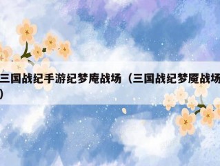 三国战纪手游纪梦庵战场（三国战纪梦魇战场）