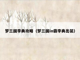 梦三国李典攻略（梦三国in霸李典出装）