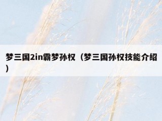 梦三国2in霸梦孙权（梦三国孙权技能介绍）