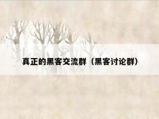 真正的黑客交流群（黑客讨论群）