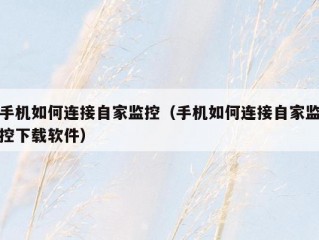 手机如何连接自家监控（手机如何连接自家监控下载软件）
