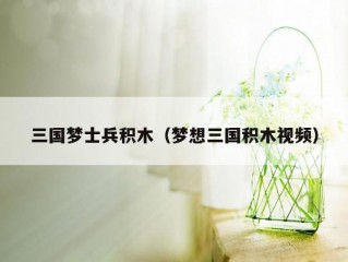 三国梦士兵积木（梦想三国积木视频）