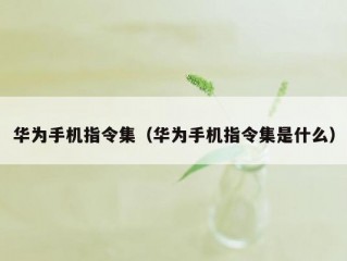 华为手机指令集（华为手机指令集是什么）