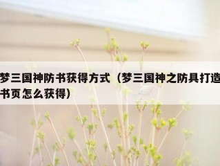 梦三国神防书获得方式（梦三国神之防具打造书页怎么获得）