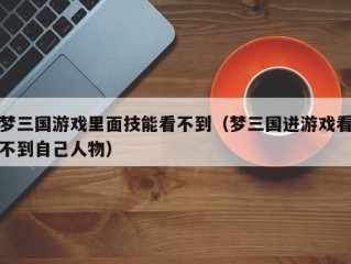 梦三国游戏里面技能看不到（梦三国进游戏看不到自己人物）