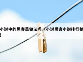 小说中的黑客是犯法吗（小说黑客小说排行榜）