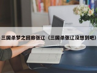 三国杀梦之回廊张辽（三国杀张辽没想到吧）