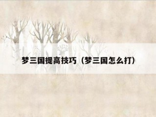 梦三国提高技巧（梦三国怎么打）