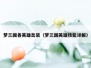 梦三国各英雄出装（梦三国英雄技能详解）