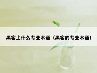 黑客上什么专业术语（黑客的专业术语）