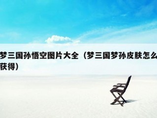 梦三国孙悟空图片大全（梦三国梦孙皮肤怎么获得）
