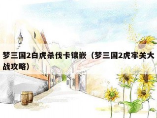 梦三国2白虎杀伐卡镶嵌（梦三国2虎牢关大战攻略）