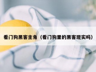 看门狗黑客主角（看门狗里的黑客现实吗）