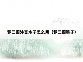 梦三国沐言本子怎么用（梦三国墨子）