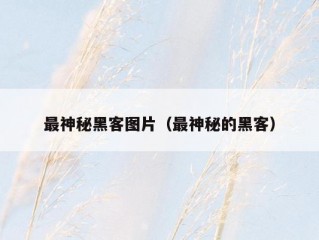 最神秘黑客图片（最神秘的黑客）