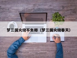 梦三国火烧不负卿（梦三国火烧春天）