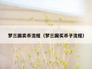梦三国卖币流程（梦三国买币子流程）