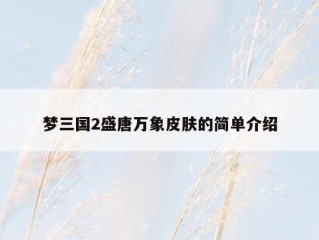 梦三国2盛唐万象皮肤的简单介绍