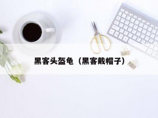 黑客头盔龟（黑客戴帽子）