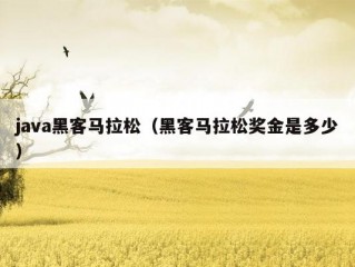 java黑客马拉松（黑客马拉松奖金是多少）