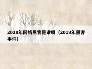 2018年网络黑客是谁呀（2019年黑客事件）