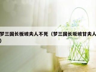 梦三国长板坡夫人不死（梦三国长坂坡甘夫人）